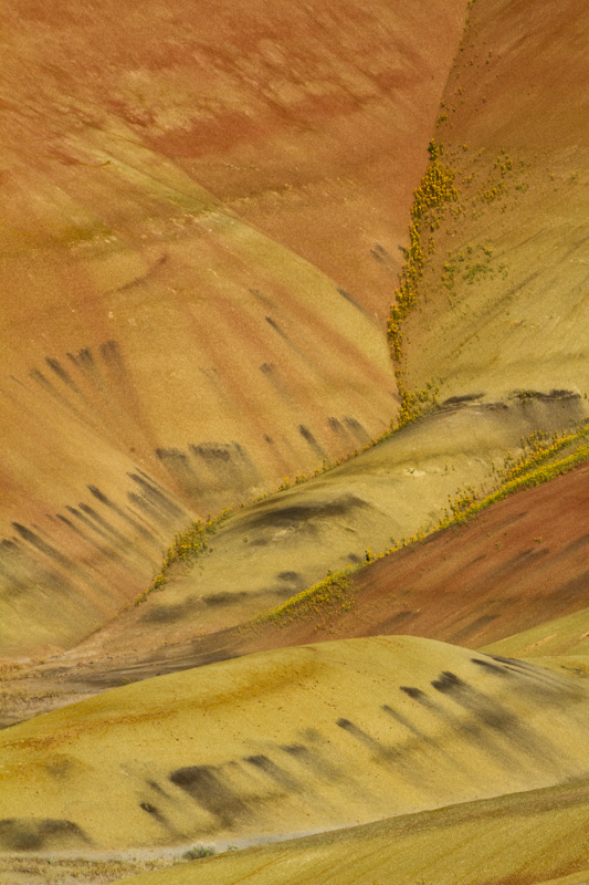 Flowers And Badlands